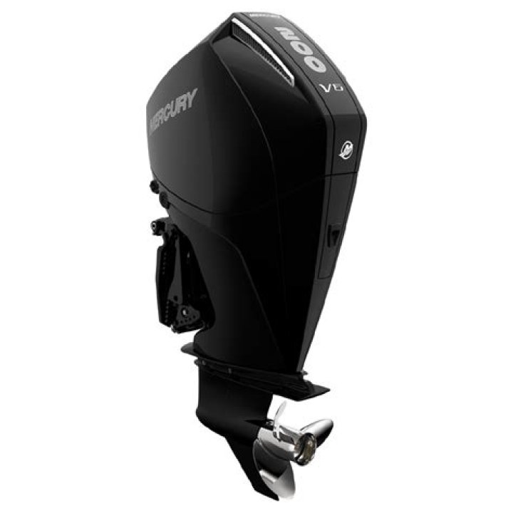 How much does a Mercury 200 4 stroke weight?