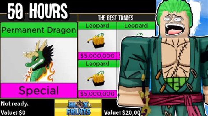 How much does dragon program cost?