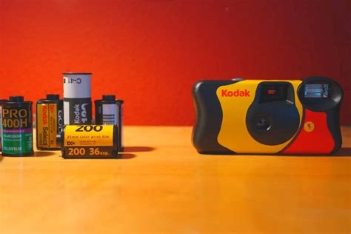 How much does it cost to develop a disposable camera?
