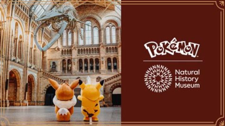How much does it cost to go to the National History museum?