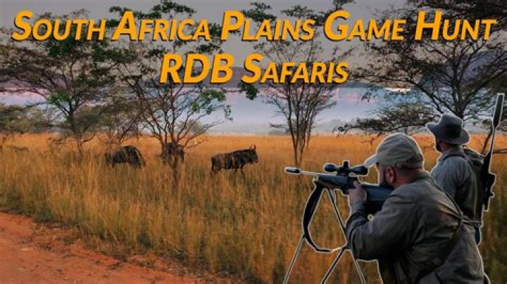 How much does it cost to hunt plains game in Africa?