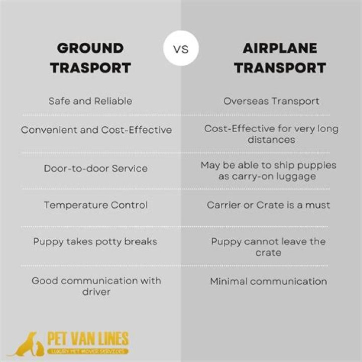 How much does it cost to ship a puppy by plane?