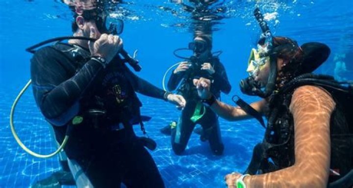 How much does scuba diving lessons cost?