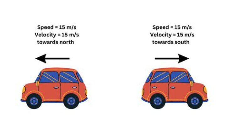 How much does velocity training cost?