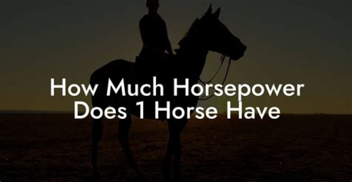 How much horsepower does a rumble bee have?