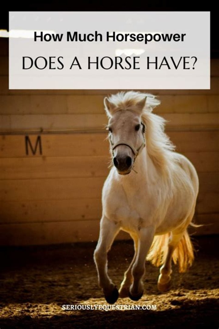 How much horsepower does a sr18 have?