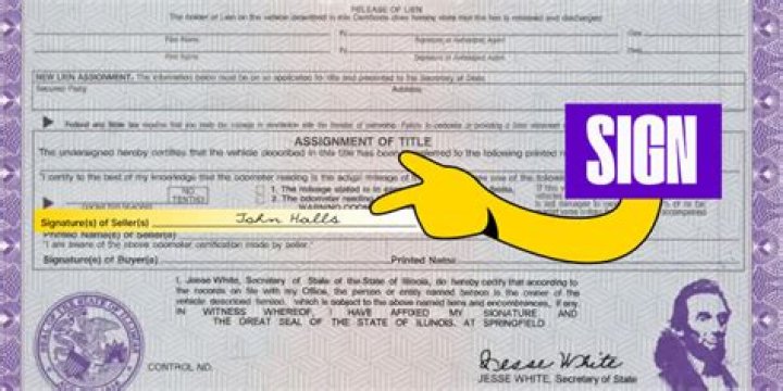 How much is tax title and license on a car in Illinois?