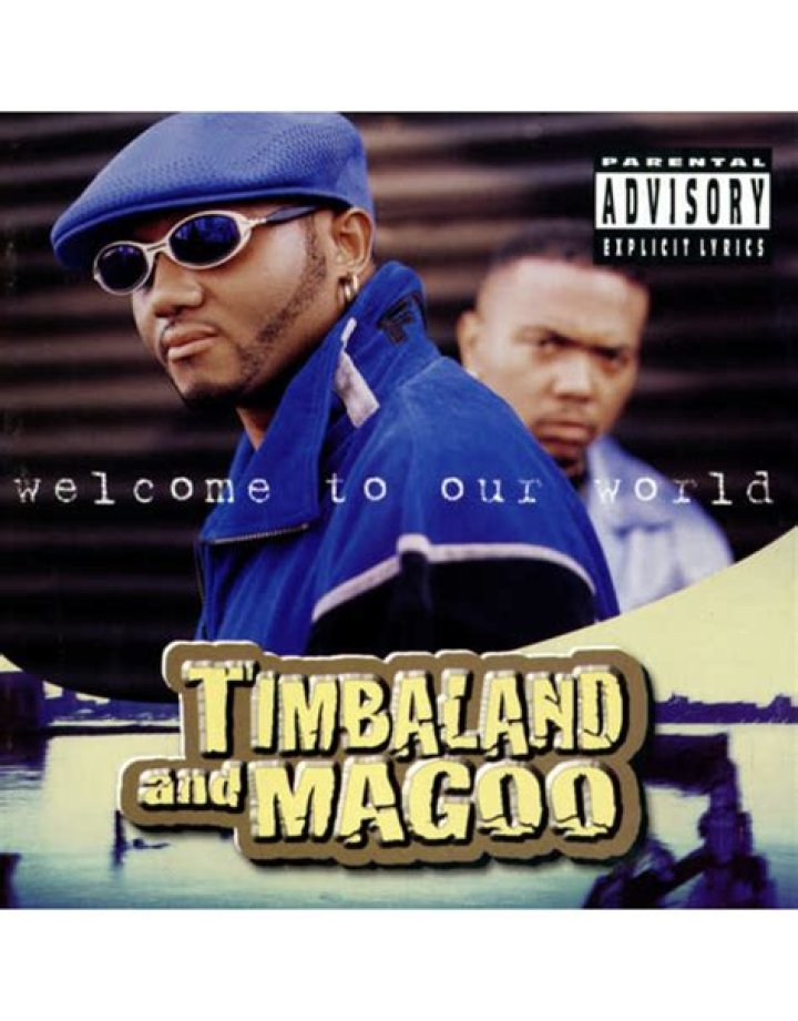 How much is Timbaland and Magoo worth?