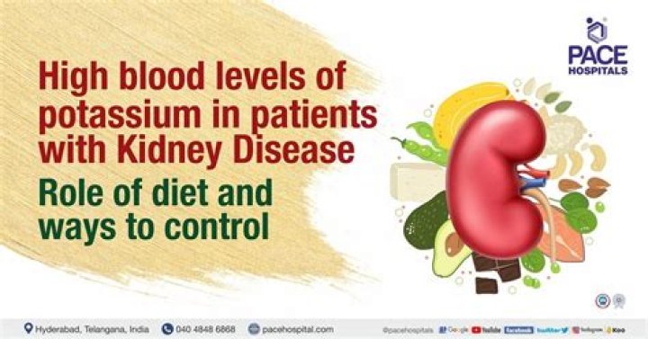 How much potassium should a kidney patient have per day?