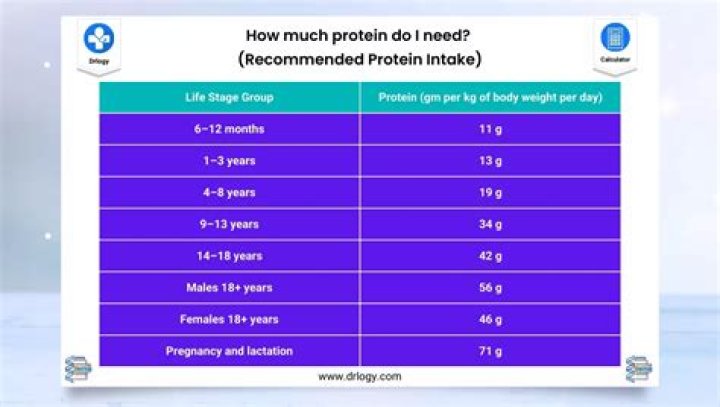 How much protein is in vegetarian lasagna?