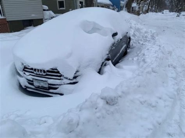 How much snow did we get in Niseko?
