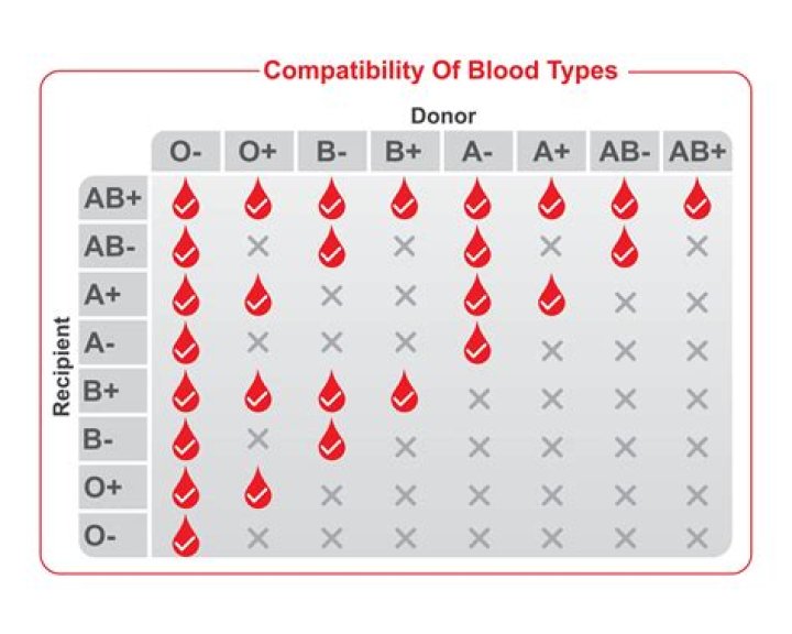 How rare is O positive CMV negative blood?
