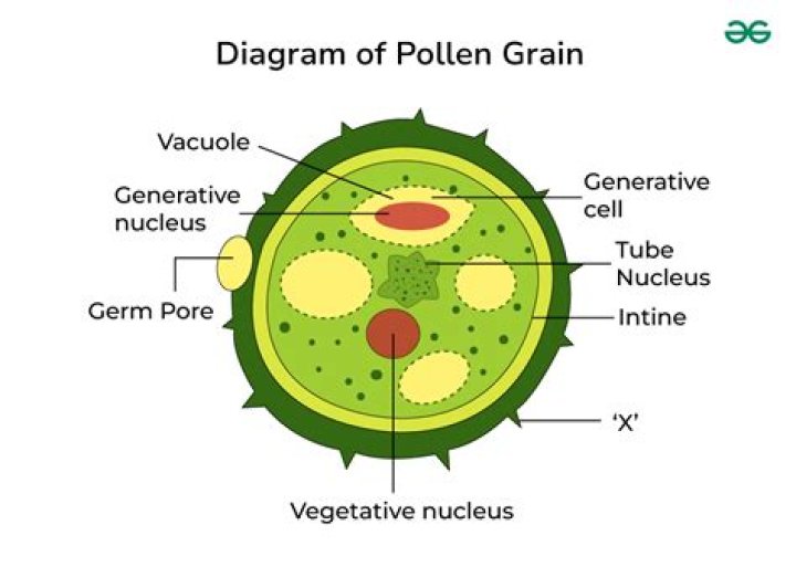 How reliable is pollen analysis?