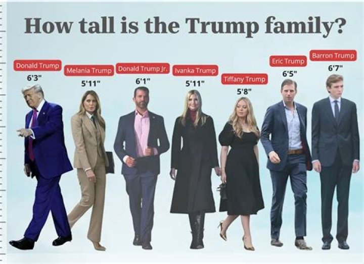 How tall are David Walliams?