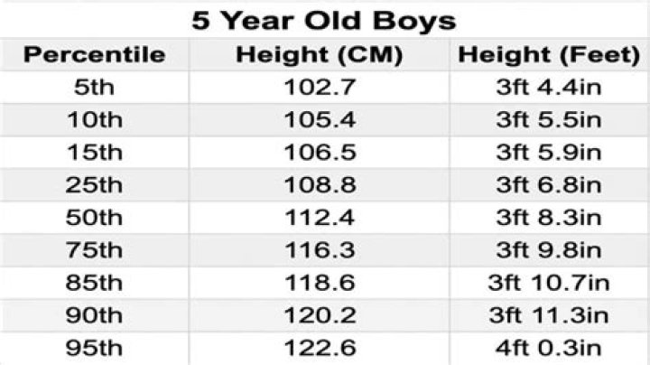 How tall is a 5yr old boy?