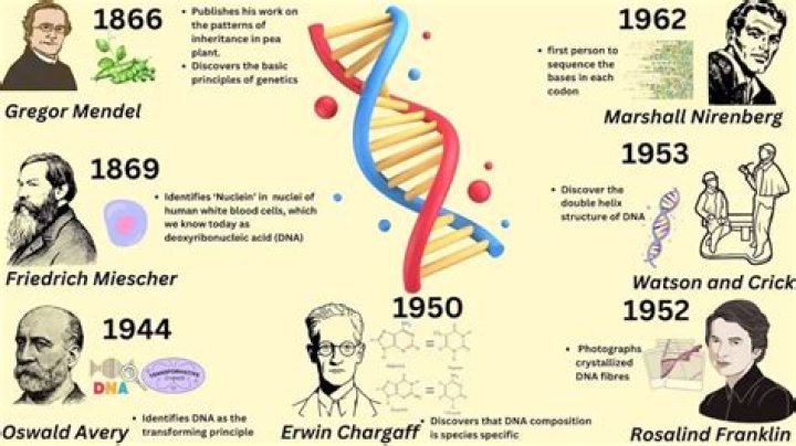 How was DNA testing used for the Romanovs?