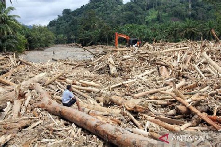 How well known is logging in Indonesia?