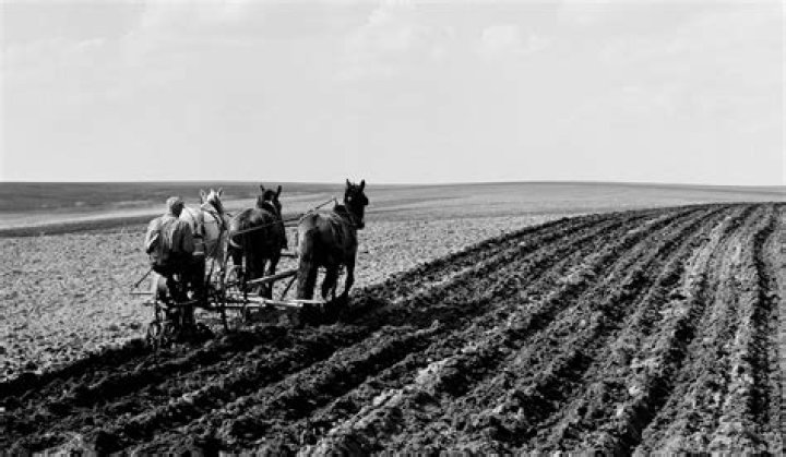 How were farmers affected in the 1920s?