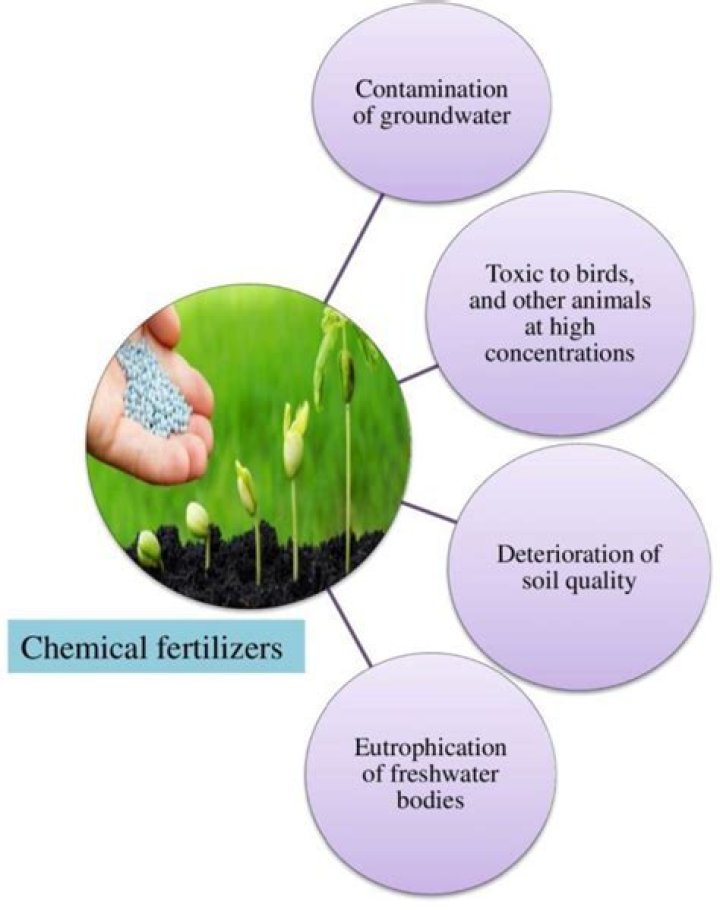 How would the widespread use of a new type of chemical fertilizer affect a nations?