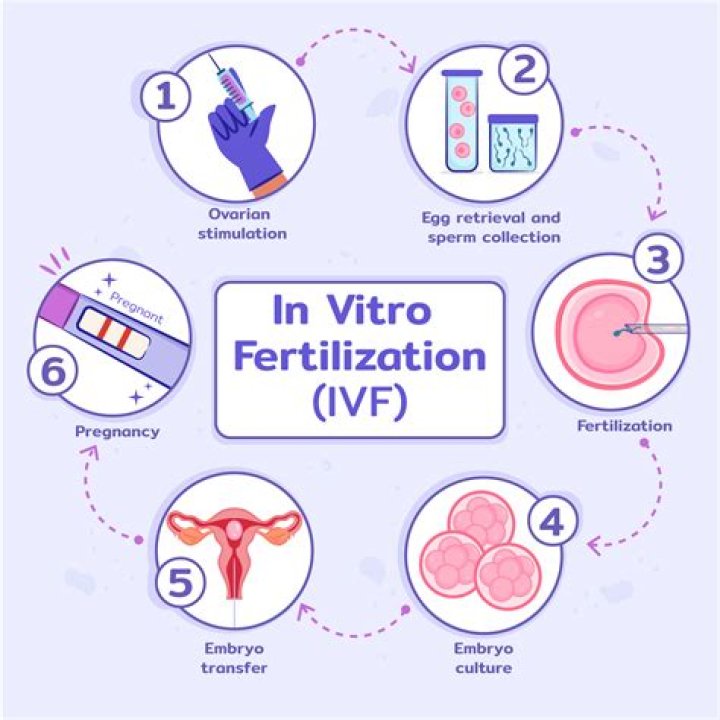 Is 28 eggs good for IVF?