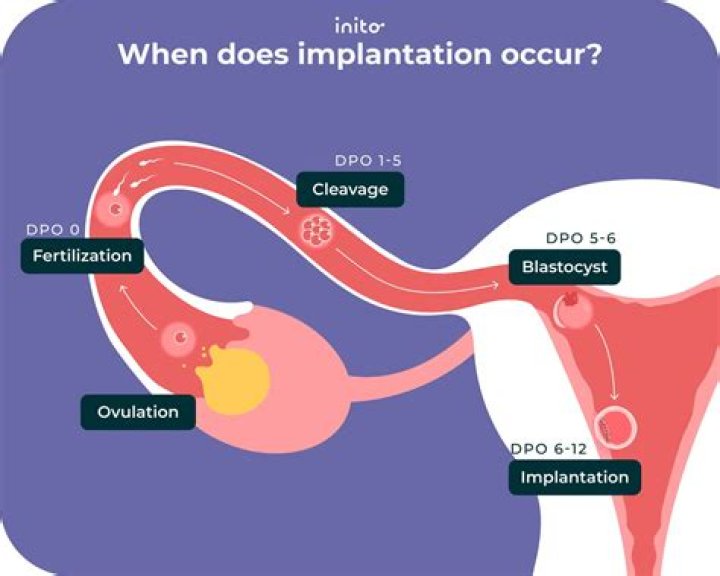 Is 3 DPO too early for implantation?