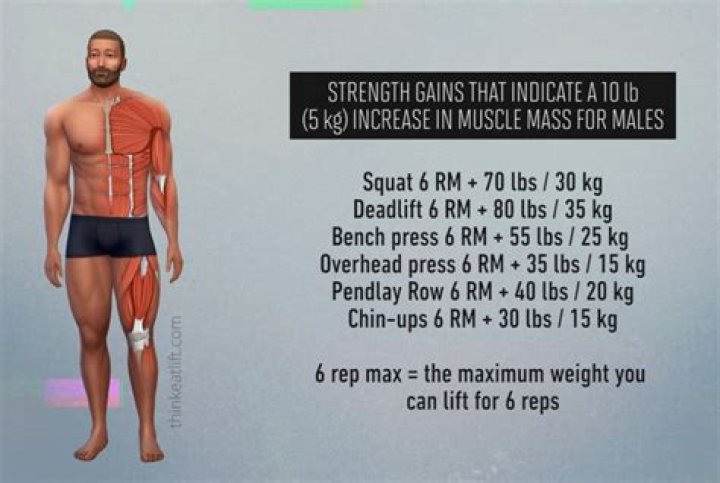 Is 5×5 good for building muscle?