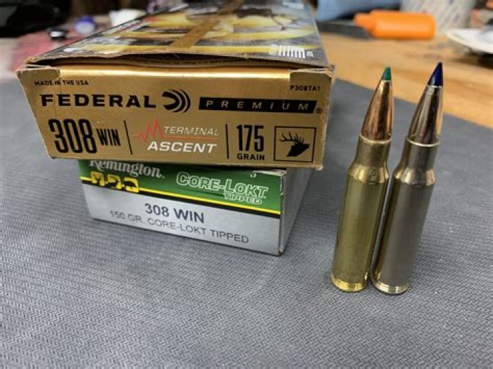 Is a 308 good for moose hunting?