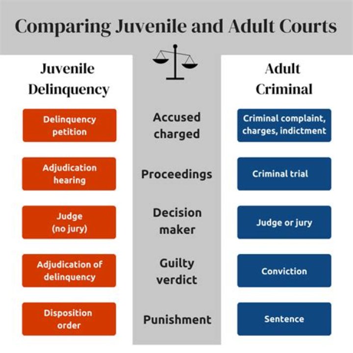 Is a juvenile adjudication the same as a conviction?