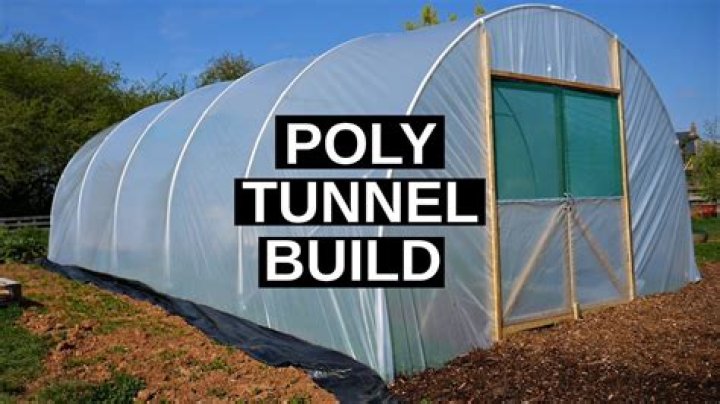 Is a poly tunnel worth it?