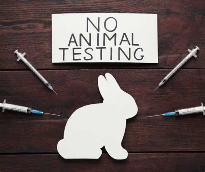 Is animal test illegal?