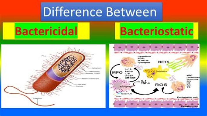Is bactericide a real word?