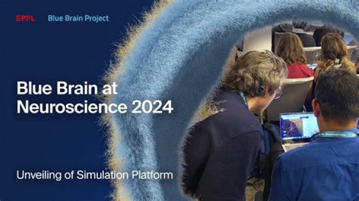 Is Blue Brain project successful?