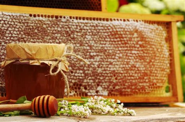Is Buckwheat honey good for cough?