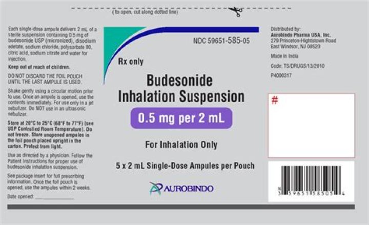 Is budesonide inhaler a steroid?
