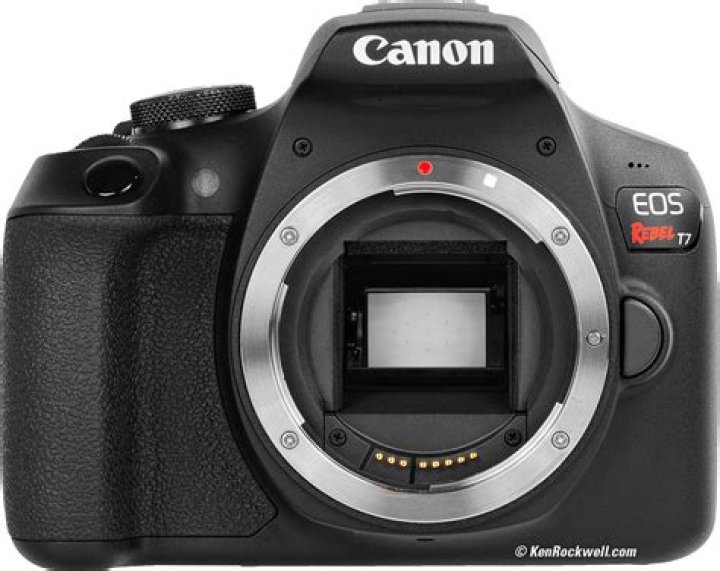 Is Canon Rebel good for photography?