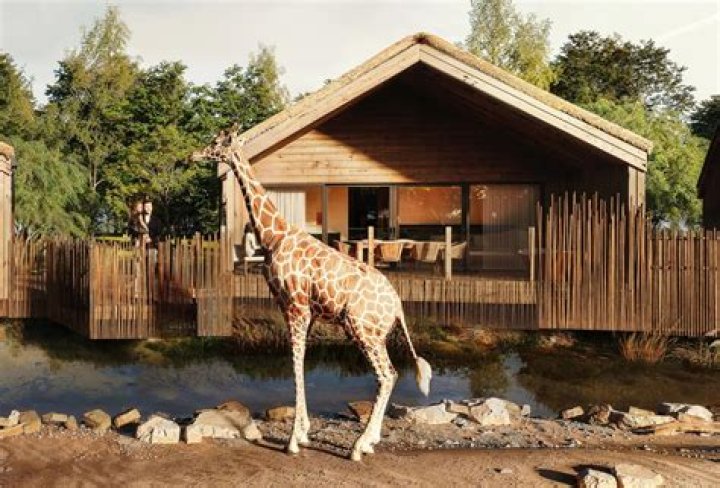 Is Chester Zoo expensive?