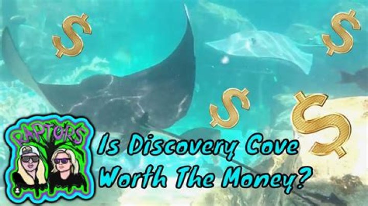 Is Discovery Cove worth the money?