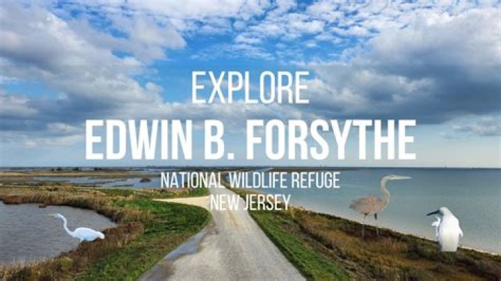 Is Edwin B Forsythe refuge open?