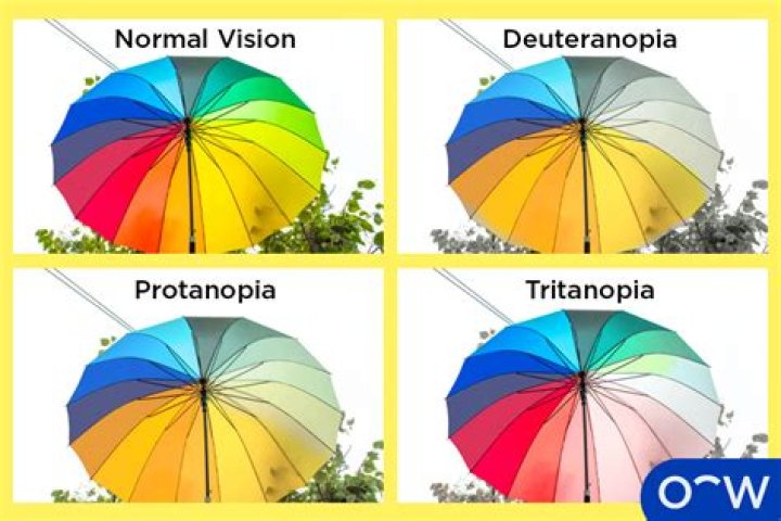 Is FUNnel dad actually colorblind?
