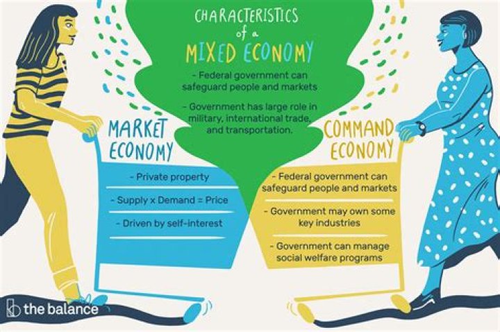 Is Germany a mixed market economy?