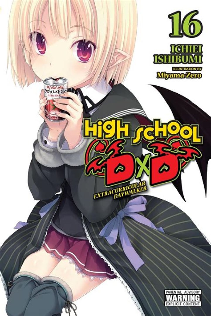 Is highschool DxD light novel still going?