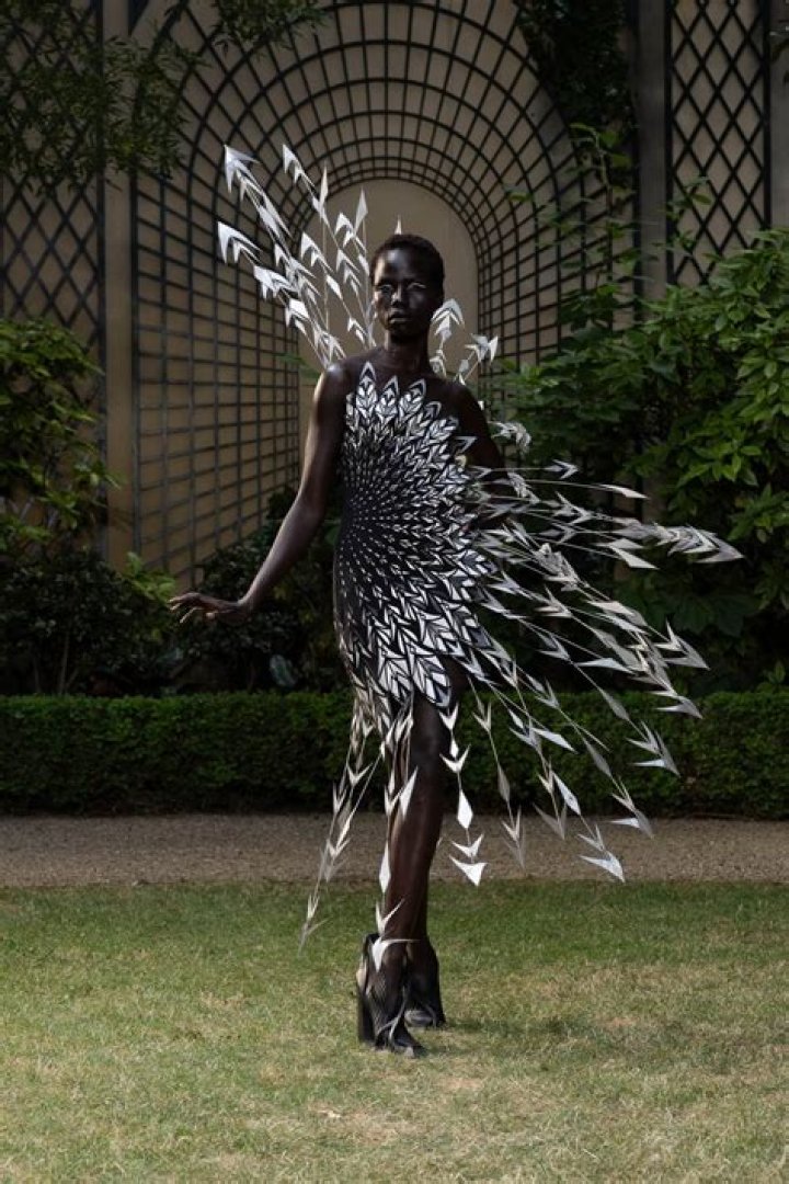 Is Iris Van Herpen a luxury brand?