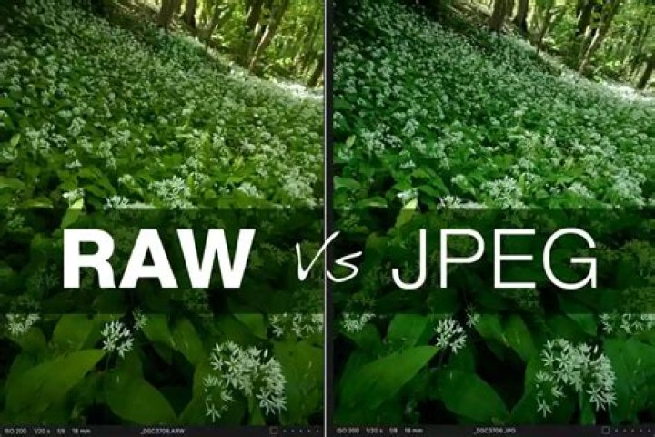 Is it better to shoot in RAW or JPEG?