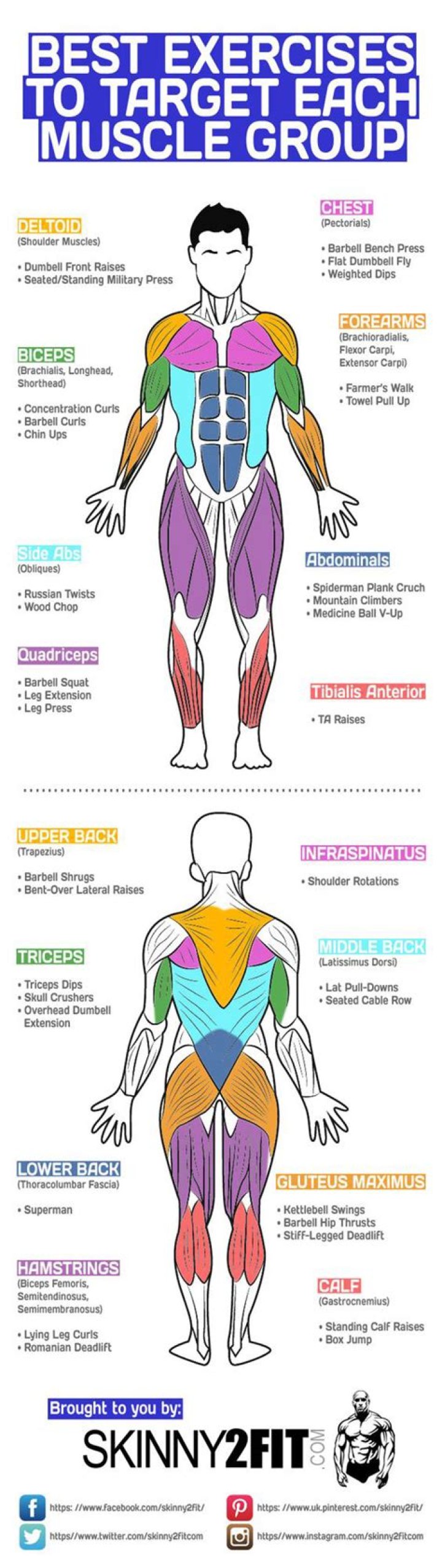Is it good to train each muscle group twice a week?