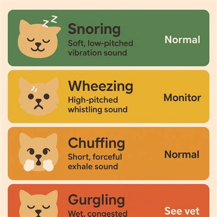 Is it normal for cats to snore while breathing?