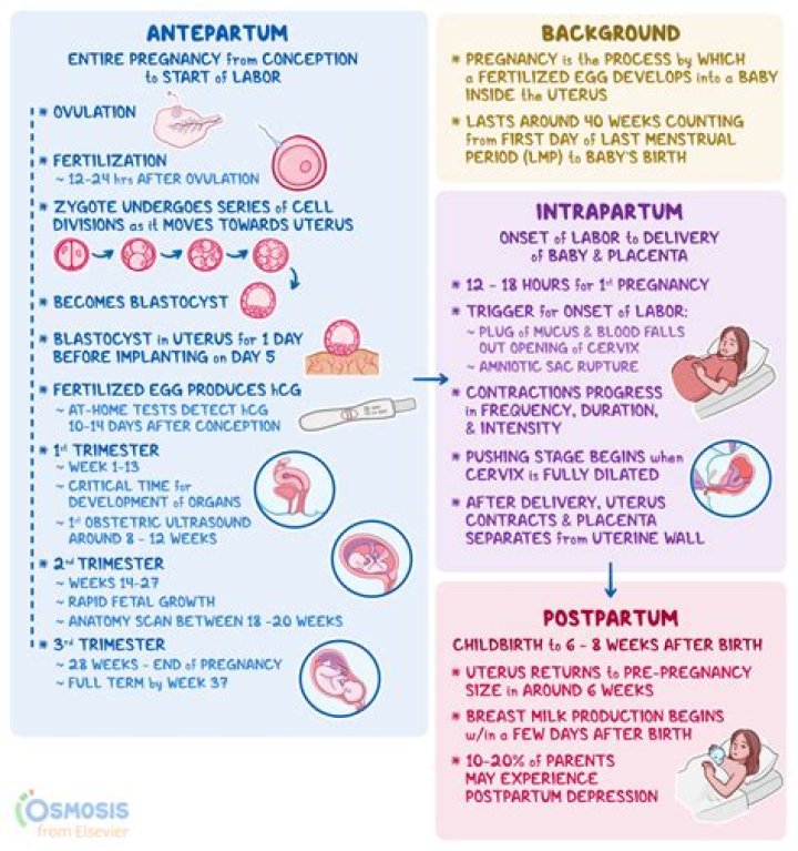 Is it normal to itch 2 weeks postpartum?