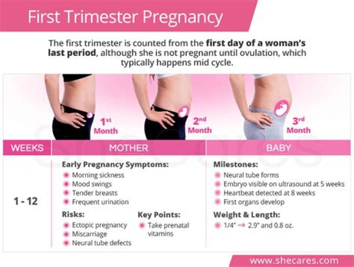 Is it normal to put on a lot of weight in first trimester?