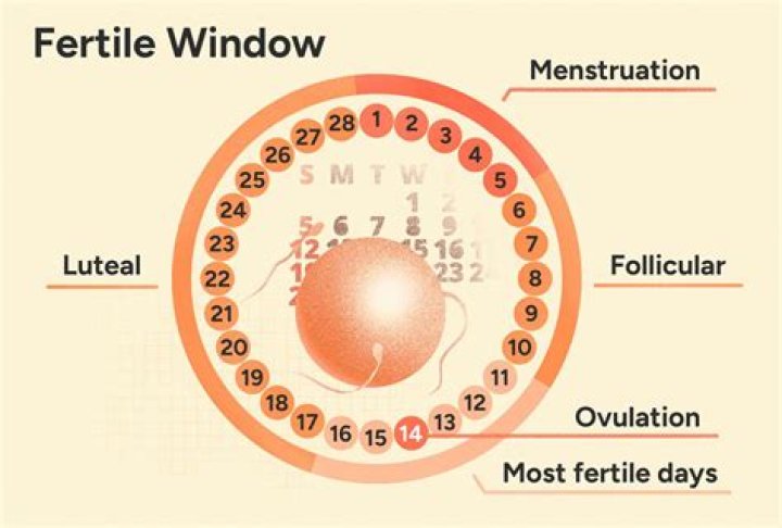 Is it normal to spot for a few days after your period?