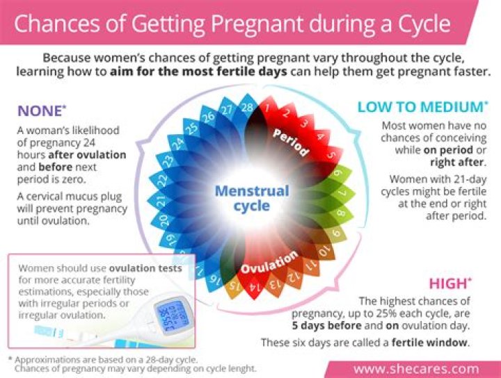 Is it possible to get pregnant on day 8 of your cycle?