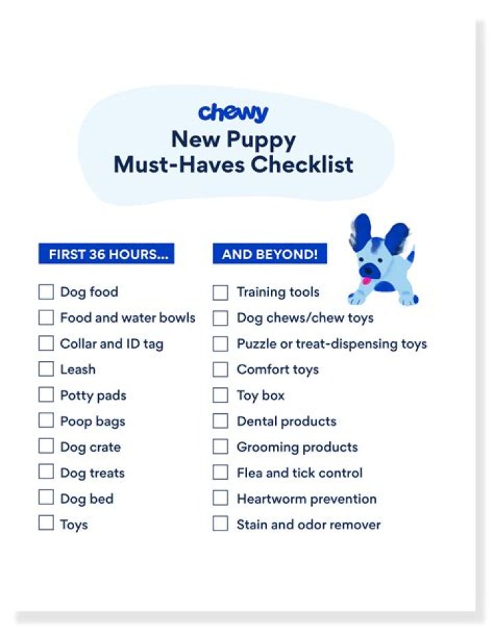 Is it safe to buy a puppy from a pet store?